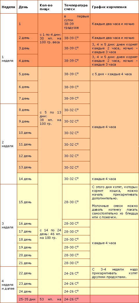 Кормит какое время. Сколько корма давать котенку в 1 месяц. Таблица кормления котенка в 3 месяца. Интервал кормления котенка 2 месяца. Сколько должен съедать новорожденный котенок.