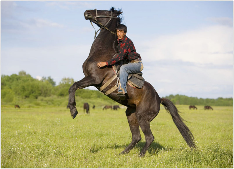 Russian riding. Лошадь на дыбах с всадником. Всадник на дыбы.